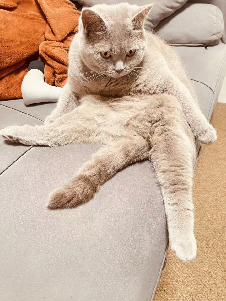 邀请码,快来玩呀😀😀😀截图