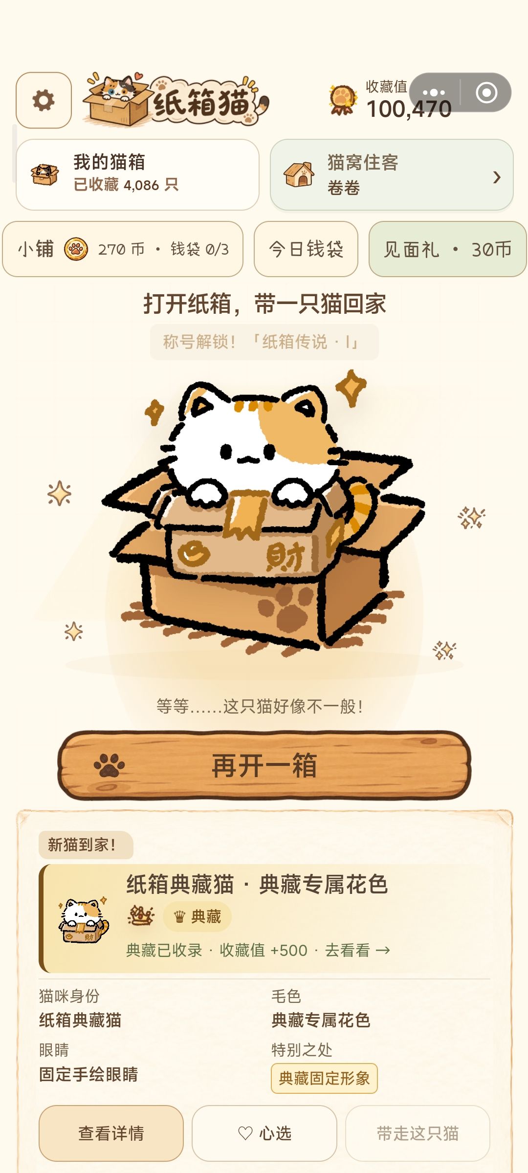 《纸箱猫》|什么时候来都刚刚好 1