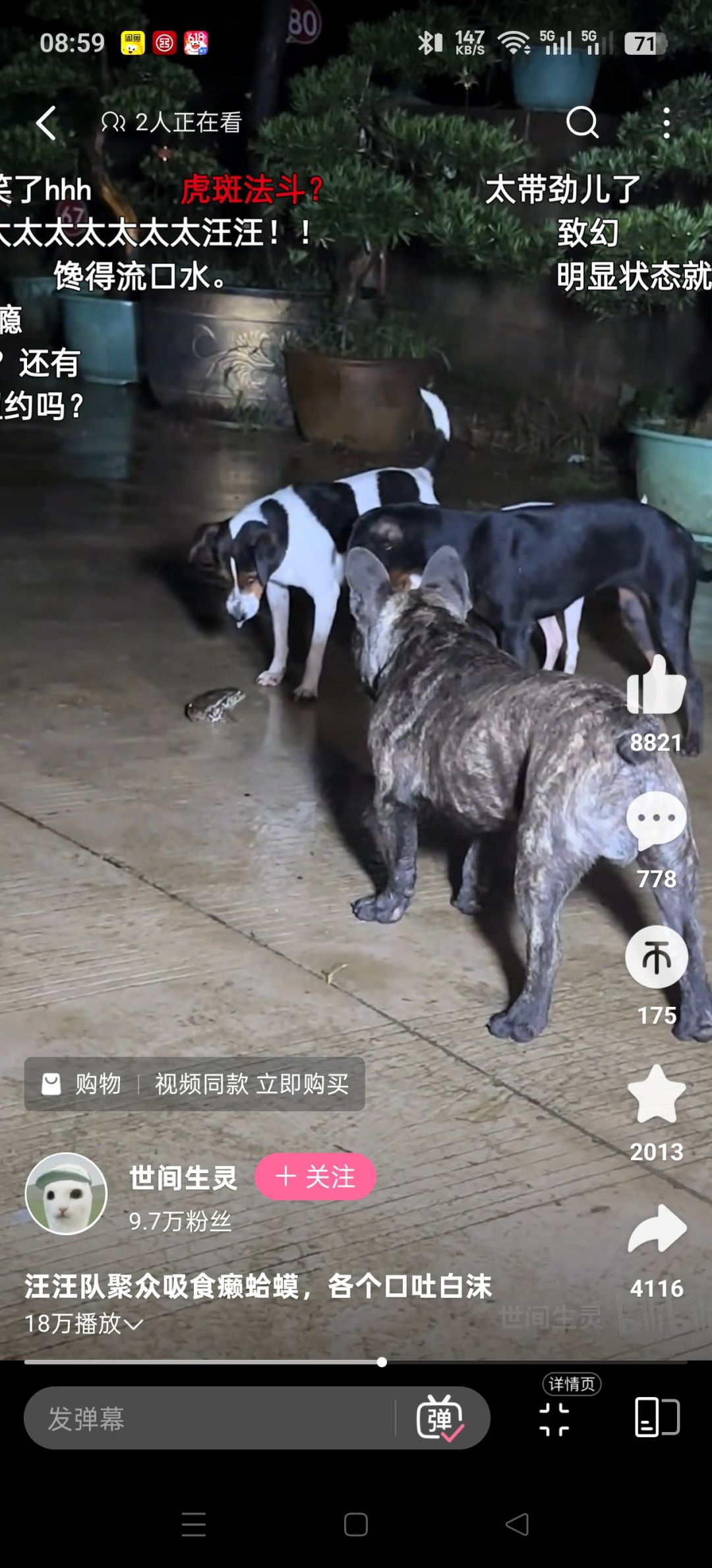 汪汪队全军覆没 1