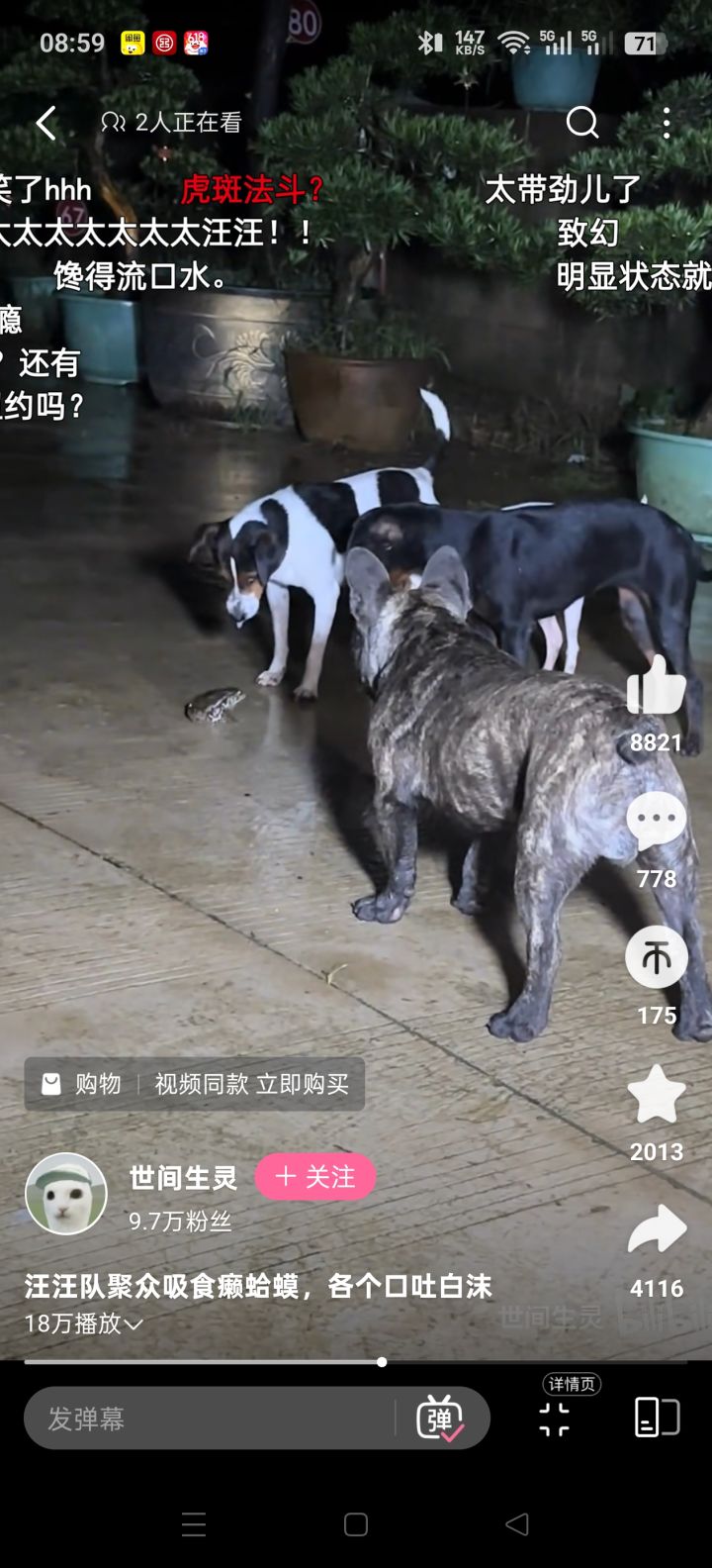 汪汪队全军覆没截图