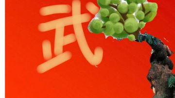 第三届歪脖树杯