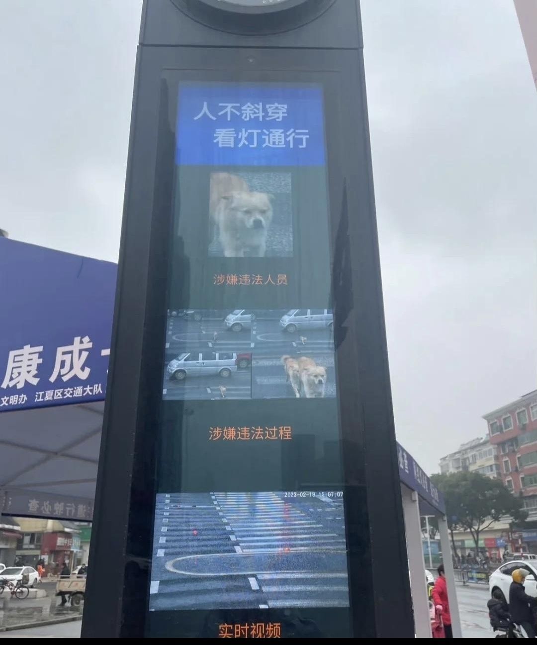 4.21异侠体验日志 3