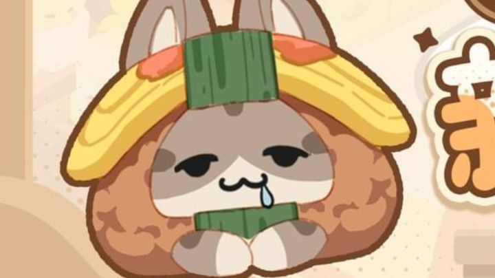 9代猫猫包前瞻截图