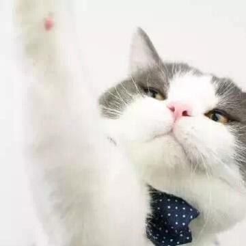 关于steam版游戏一些操作优化建议