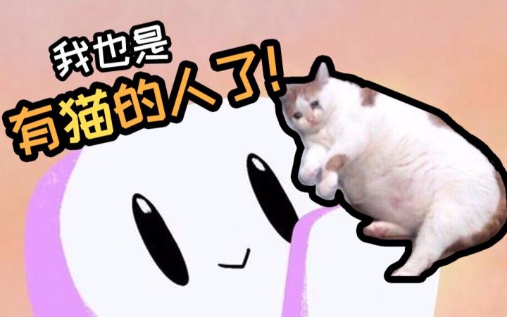 【浮岛探索】我宣布,有猫的人才是人生赢家!截图