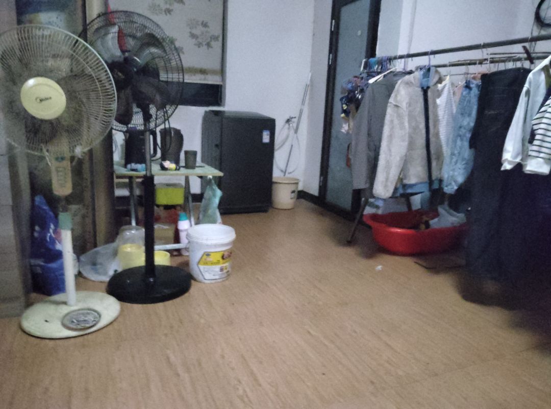 动态图片 11