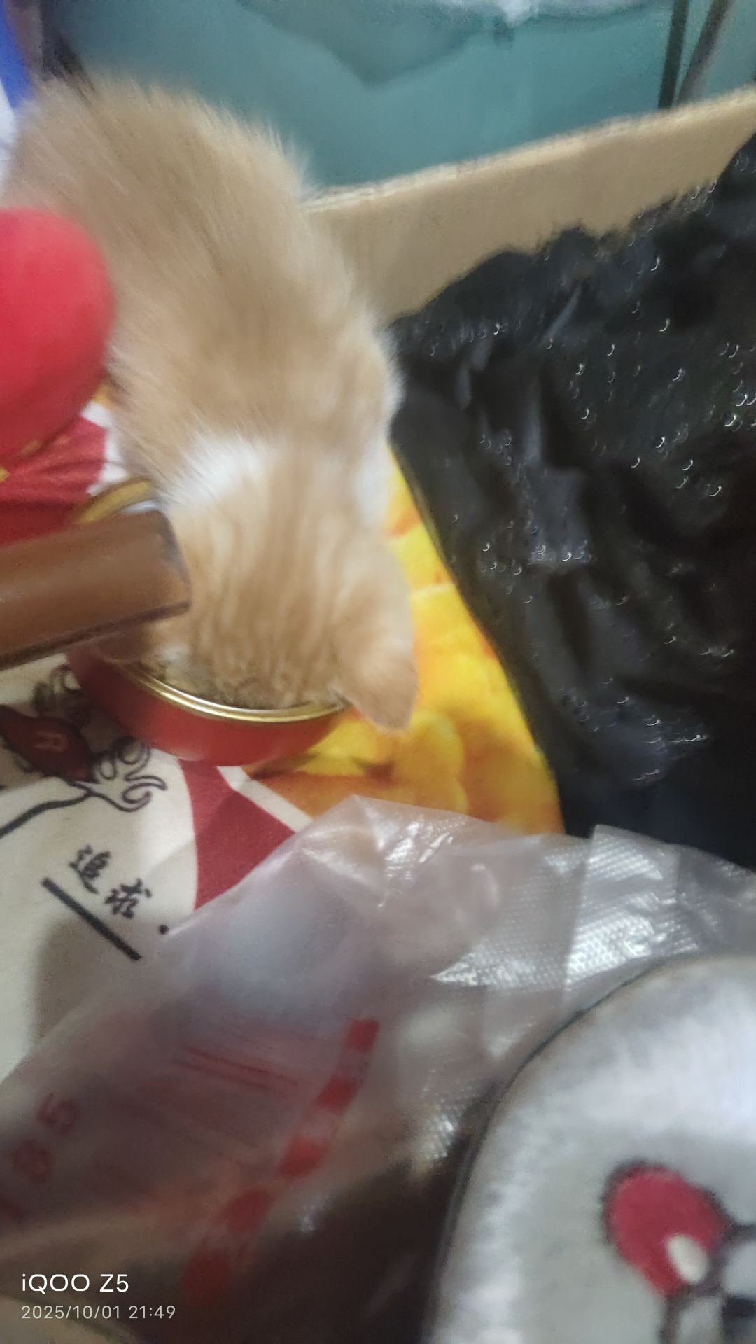动态图片 13