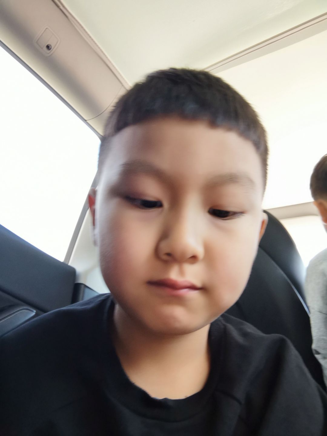 动态图片 5