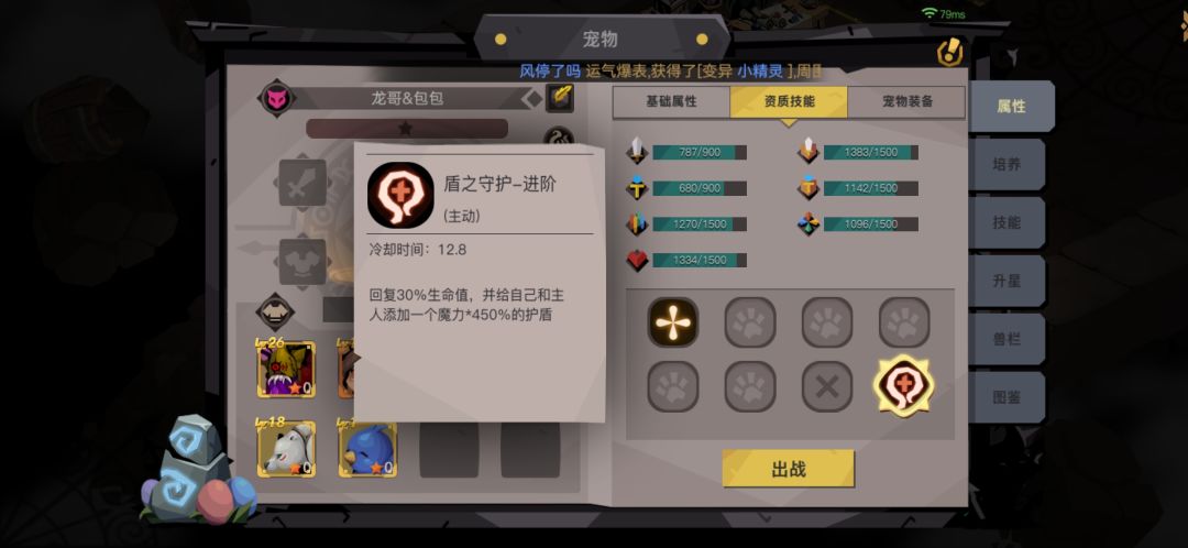 六周年暗金宠物小精灵分析 3