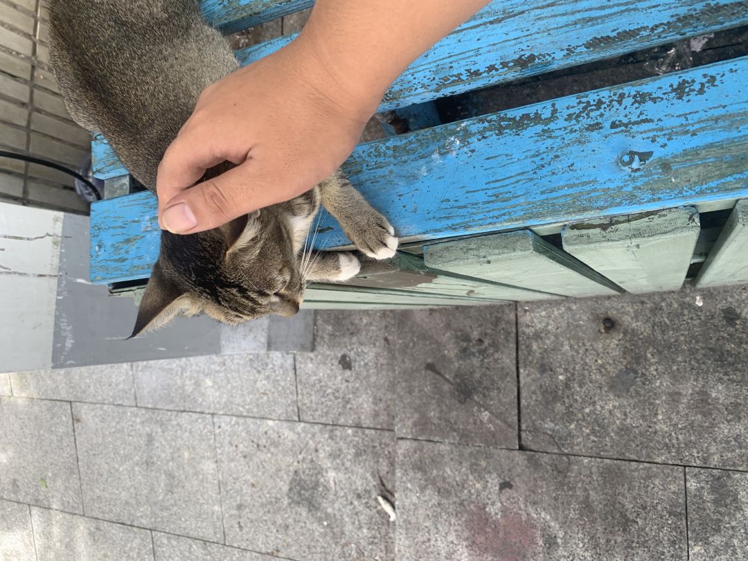 为什么这个平台没有…… 1