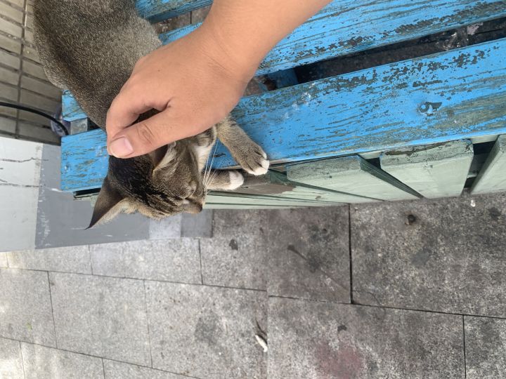 为什么这个平台没有……截图
