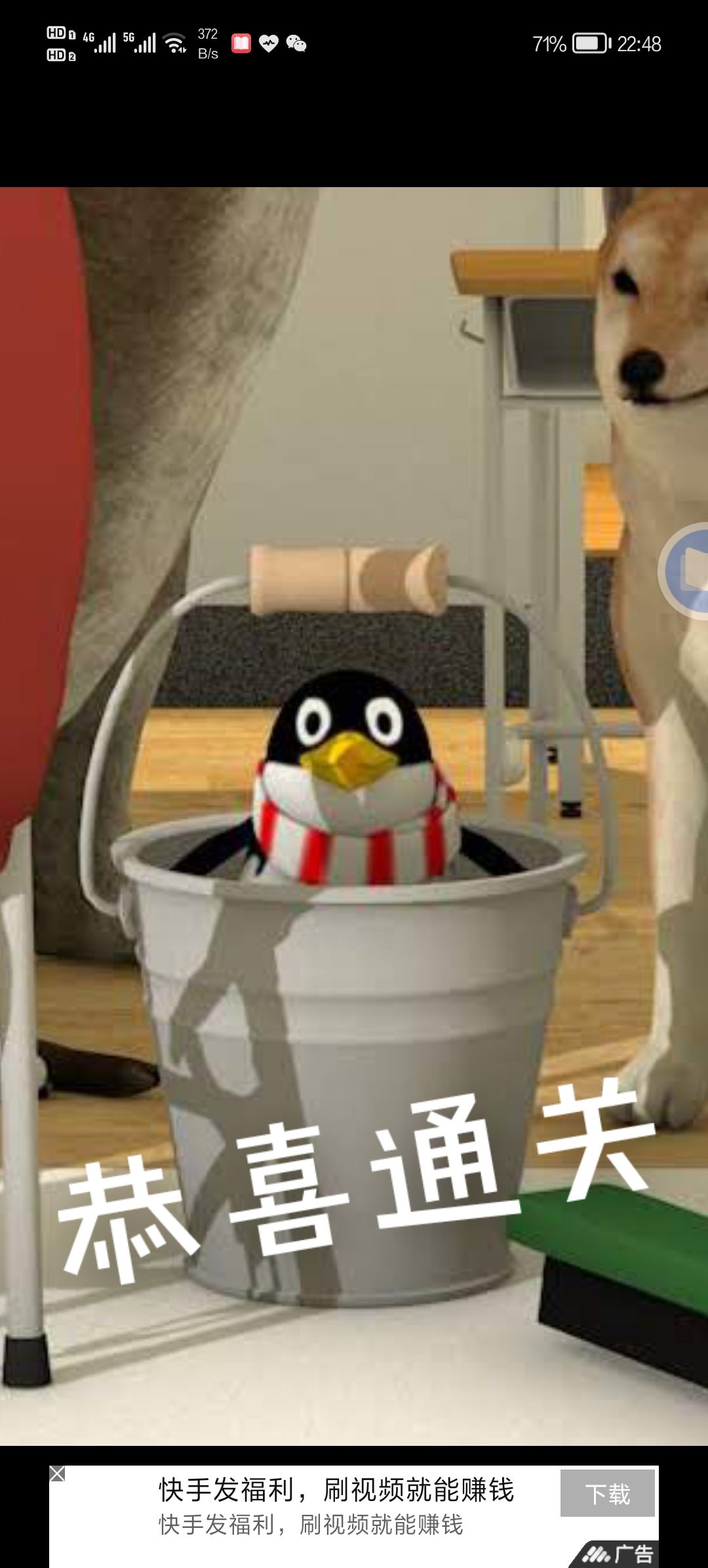动态图片 3