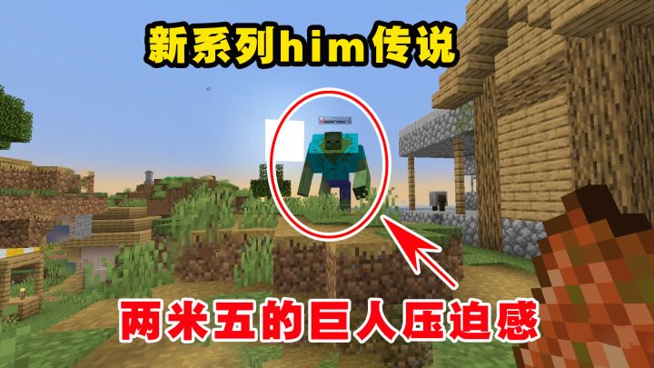 老帅和迪哥,独臂侠勇闯我的世界Him传说模组截图