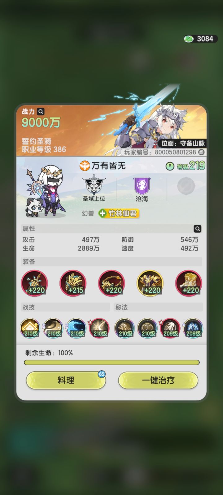 骑士无限打法截图