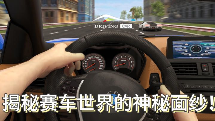 《超车小能手》：勇闯赛道，揭秘赛车世界的神秘面纱！截图