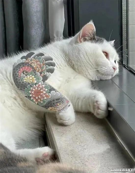 动态图片 2