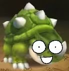 王者归来！巨龟系宠物评测