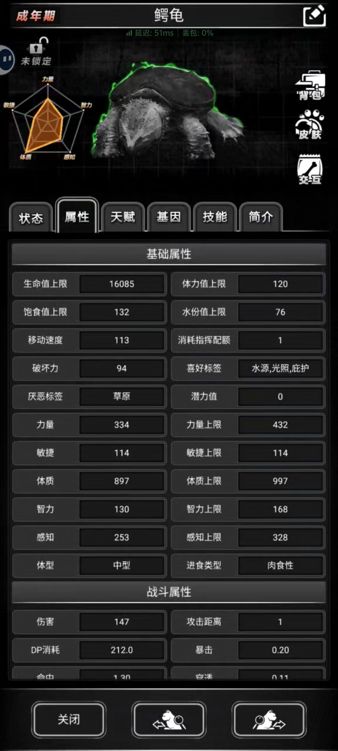 一万六的鳄龟 1