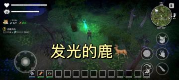 【发光的鹿】 你是光，指引了我的方向~