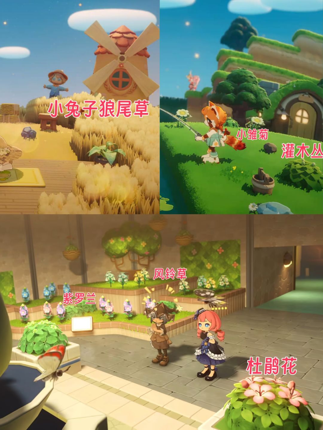 星布谷地PV植物大盘点 2