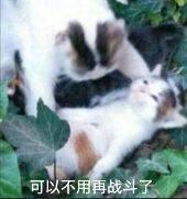 35/200寒酸彩礼截图