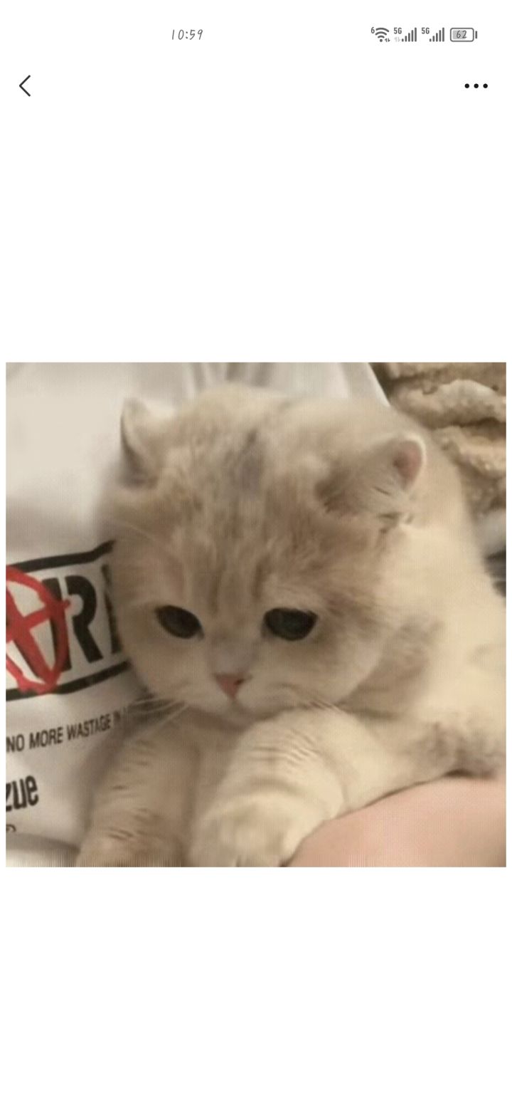 来看猫猫截图