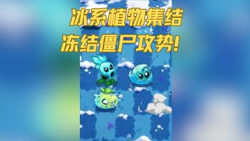 冰系植物集结，冻结僵尸攻势！