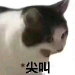 ‘怪盗钴’召唤师皮肤登场！