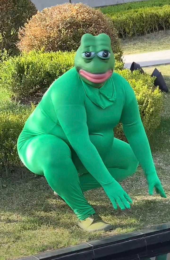 组队截图