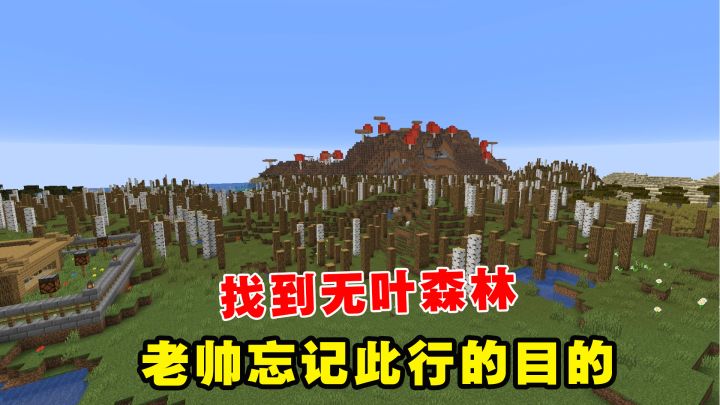 我的世界Him传说14：找到无叶森林，老帅忘记此行的目的截图
