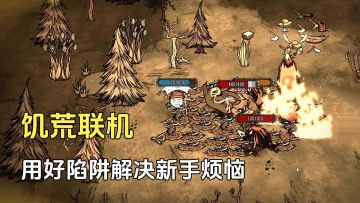 饥荒联机：只需要用好陷阱，解决新手烦恼