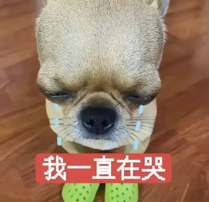 一开始准备布局就闪退截图