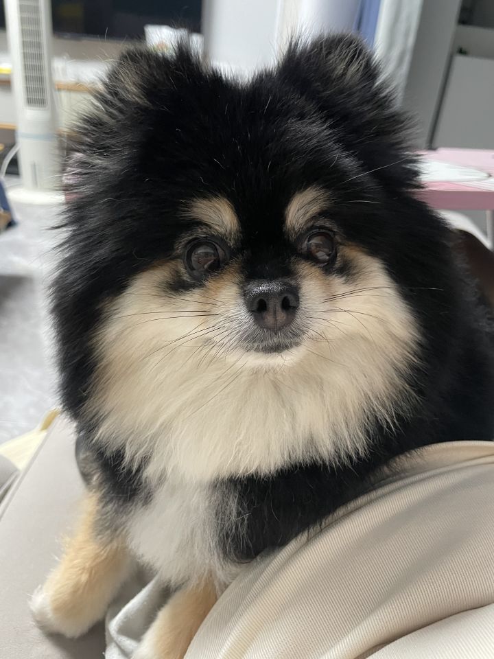这次里世界没有牛鼻岛吗截图
