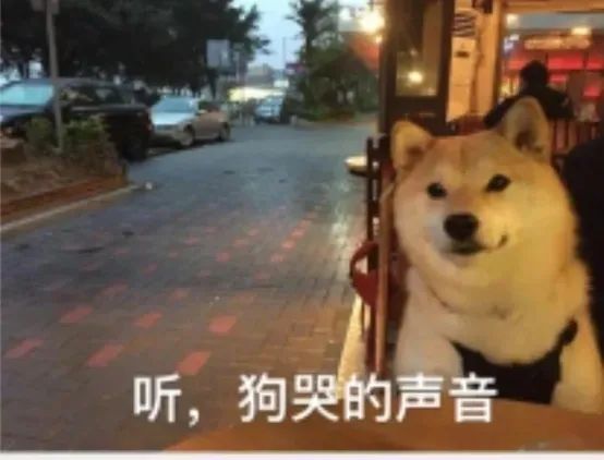 能干点正事吗截图