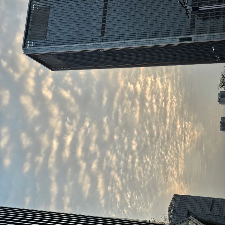 宝藏游戏又又又送皮肤啦截图