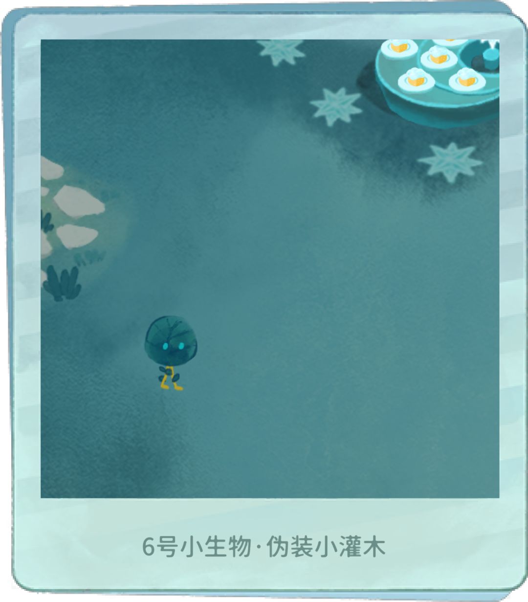 小生物噫 7