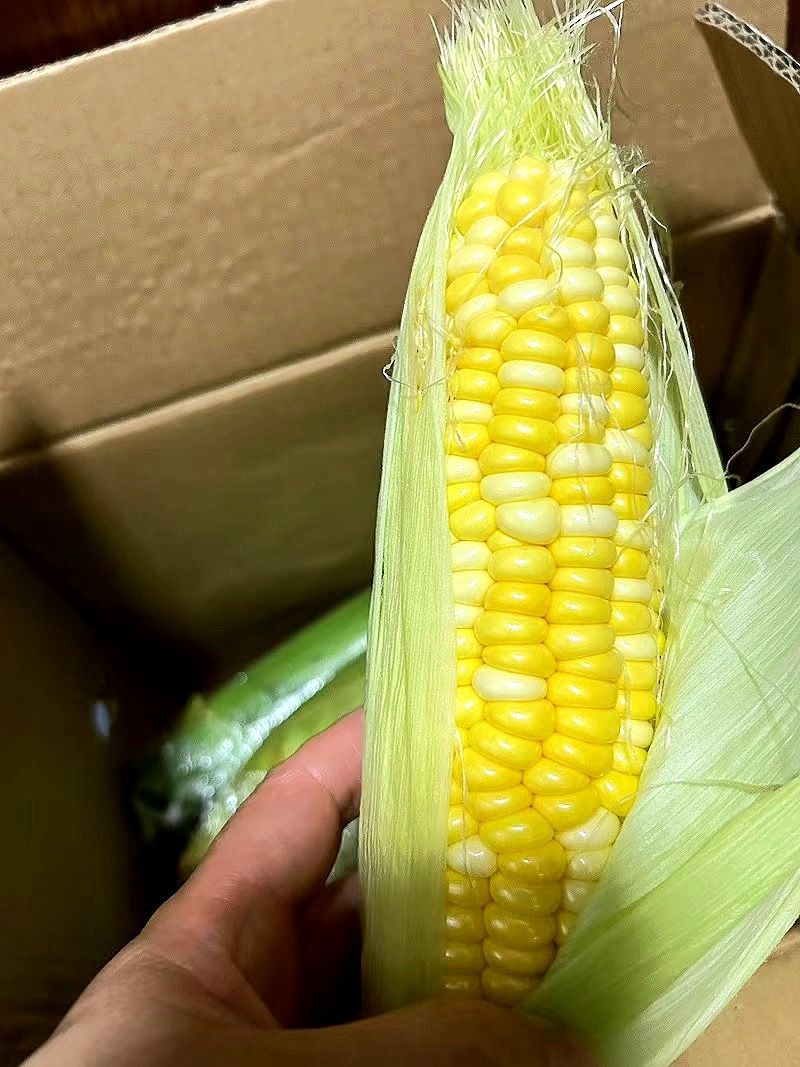 秋季活动——煮玉米 3