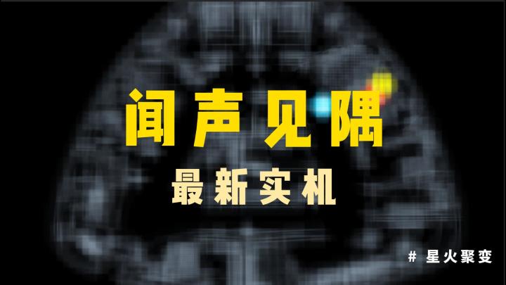 闻声见隅最新实机！截图