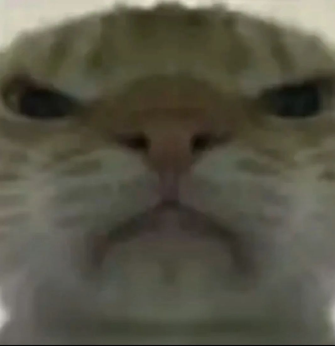 17区猛攻 2