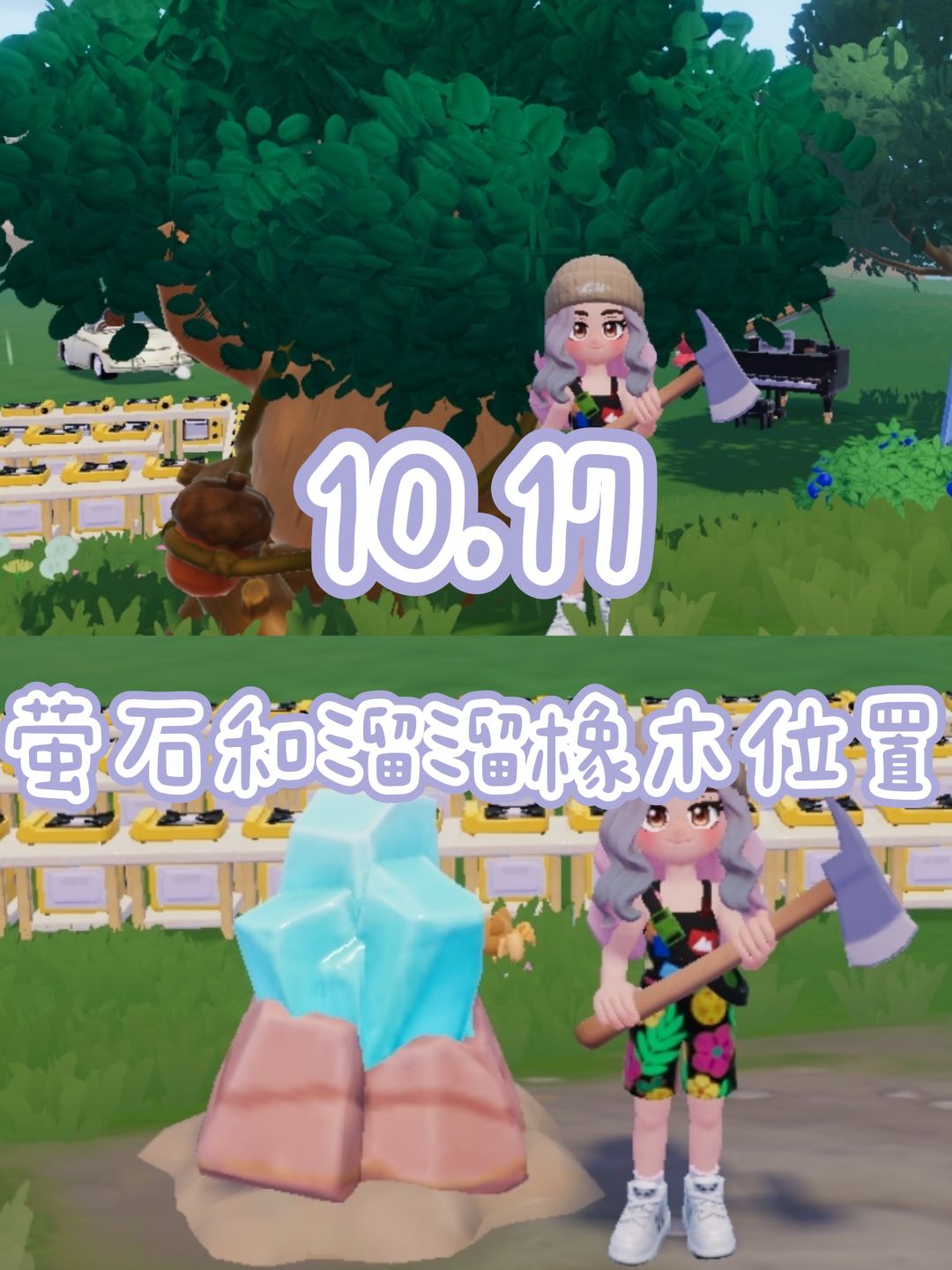 10.17 今日萤石和溜溜橡木位置 1