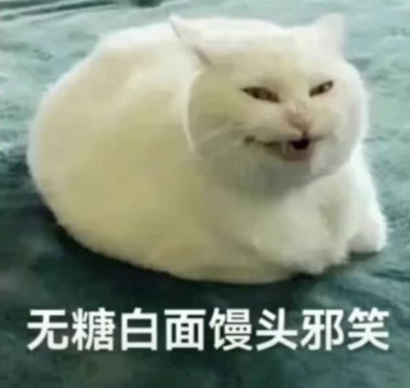 4月1号尘白禁区震撼首发 2