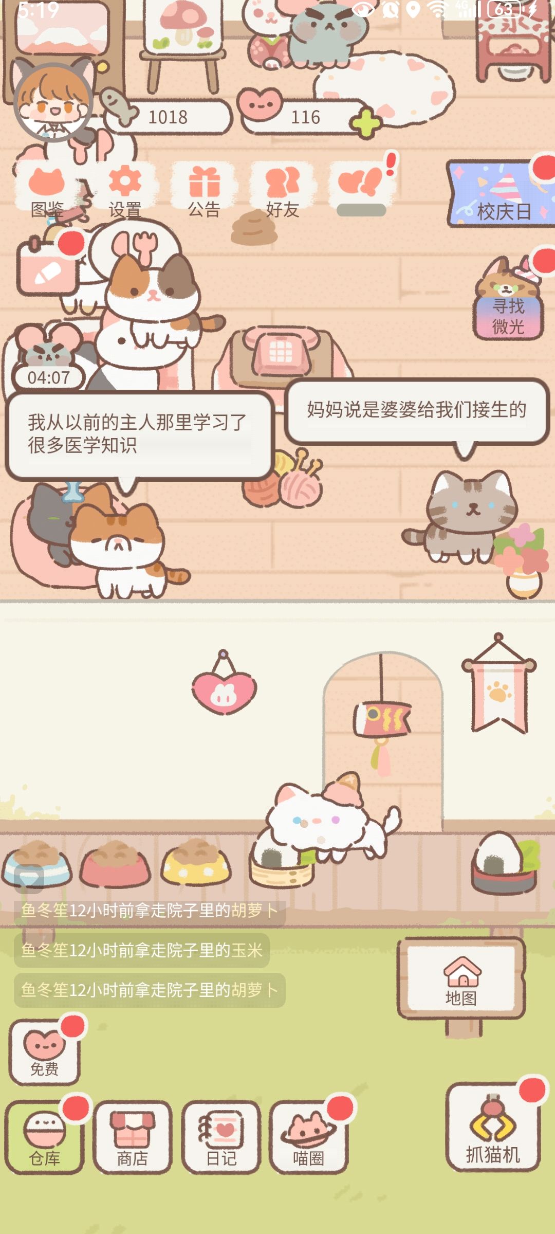 偷菜贼 3
