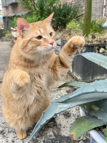 简简单单的家具排列方式，看图参考。