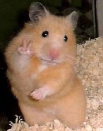 聊两句对囤资源的建议