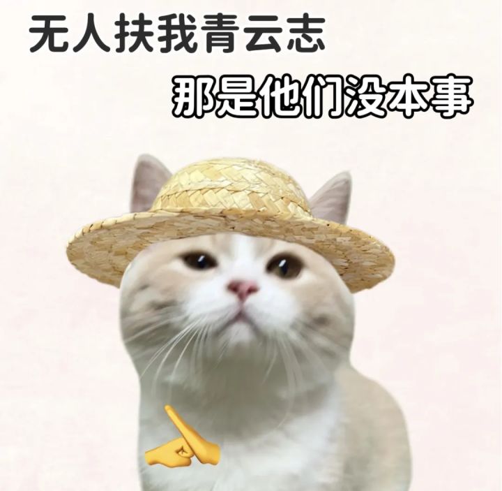 关于小周目记录截图