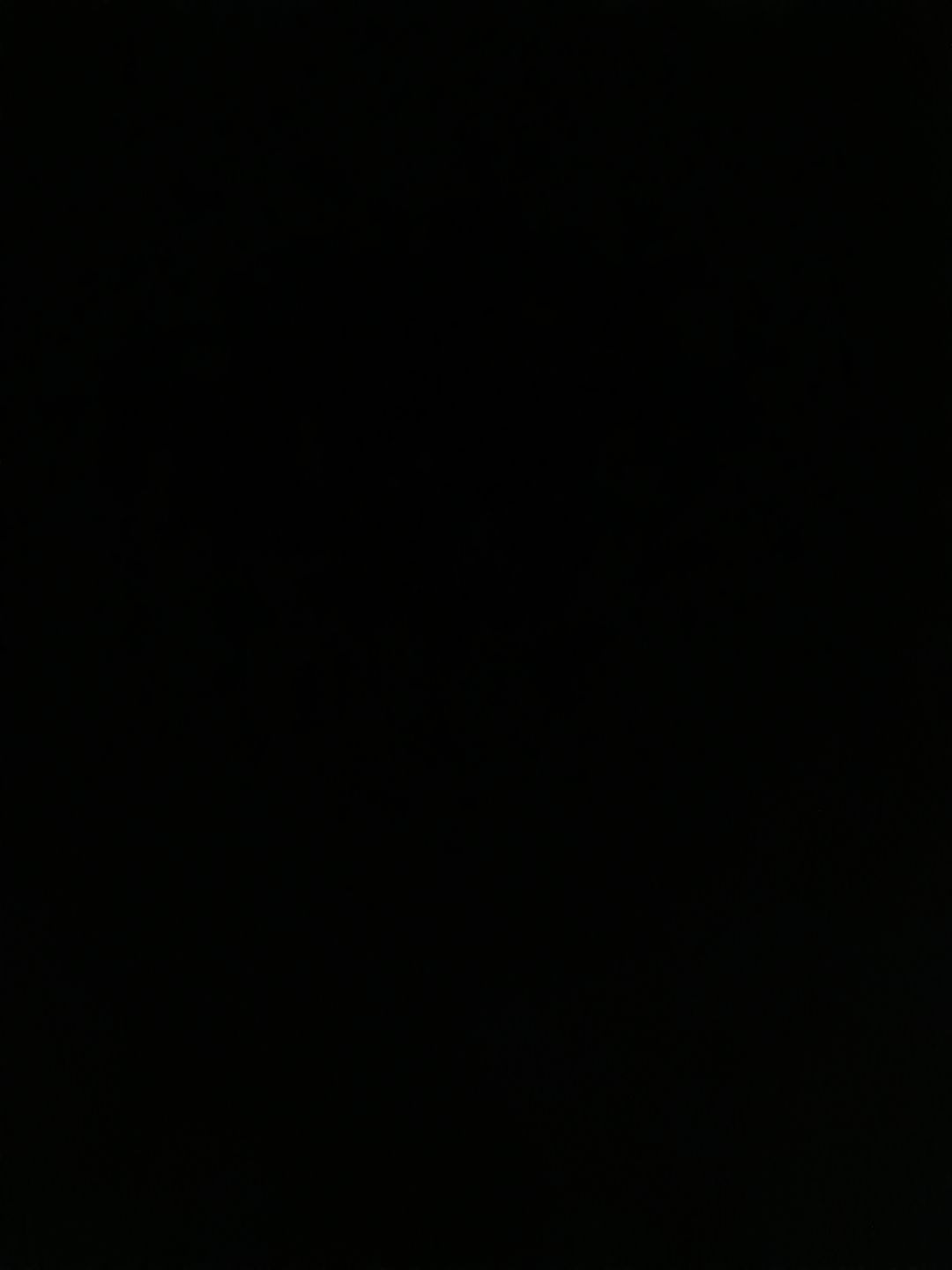 动态图片 9