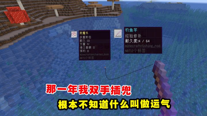 我的世界Him传说17:那一年我双手插兜,根本不知道什么叫做运气截图