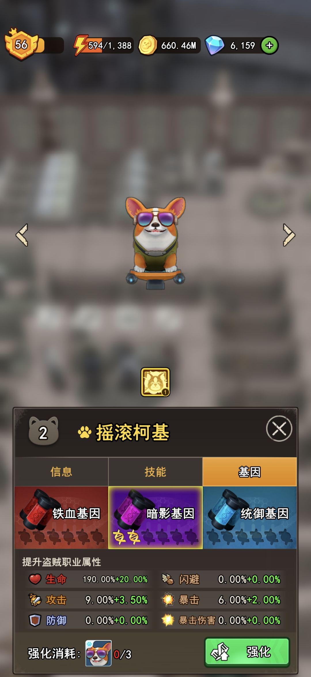 宠物玩法大纲 2