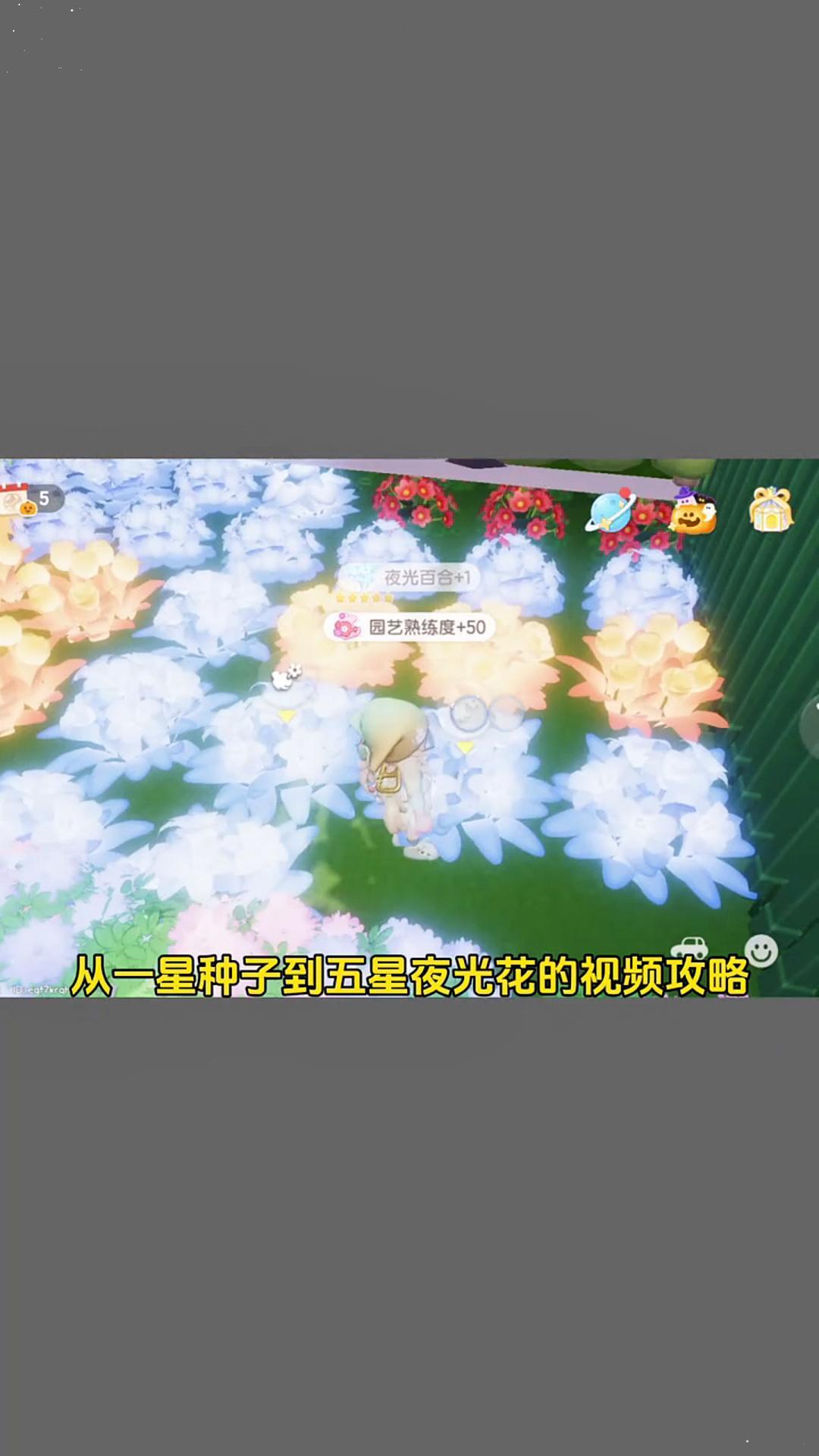 video-4633975