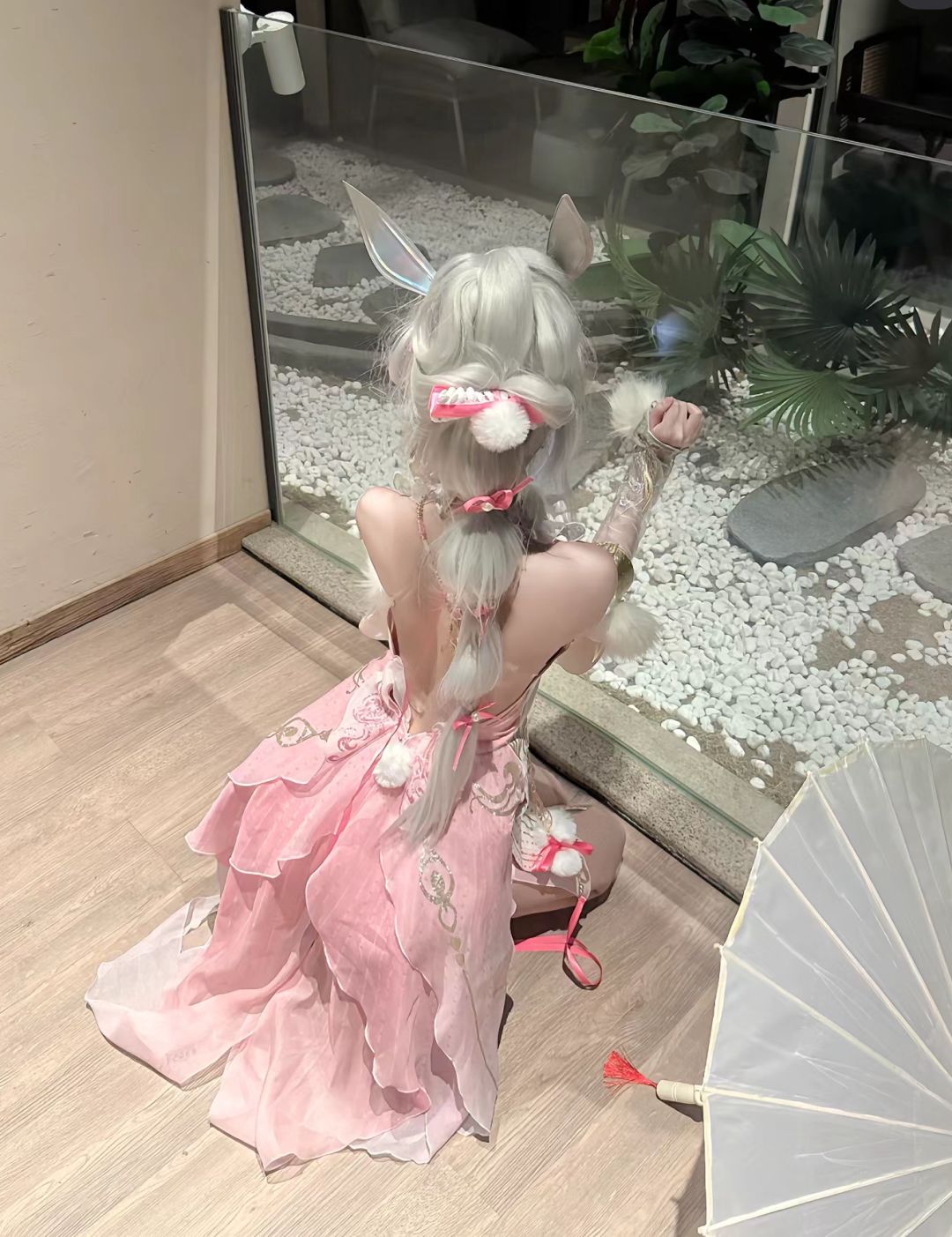 我的武魂是兔,小白兔 2